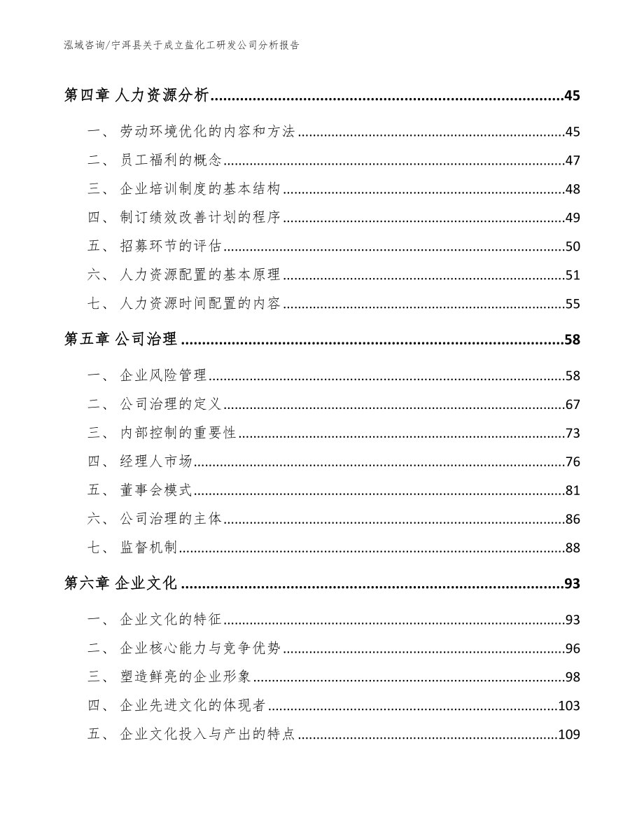 宁洱县关于成立盐化工研发公司分析报告_参考范文_第2页