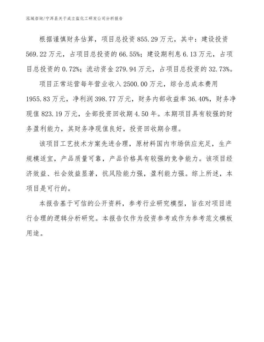宁洱县关于成立盐化工研发公司分析报告_参考范文_第5页