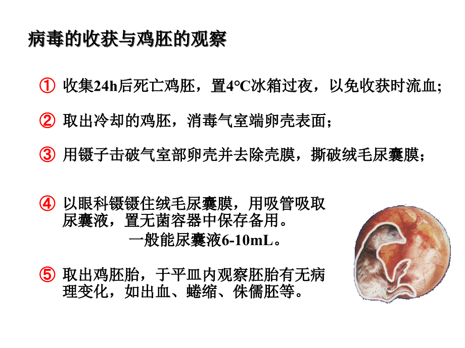 医学专题：试验七-血凝试验1(完整)_第2页