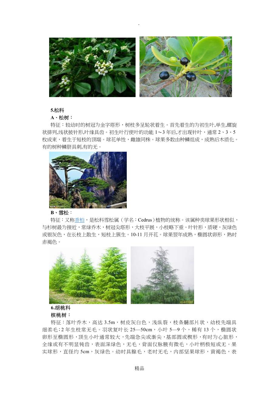 商丘师范学院校园植物调查报告_第4页