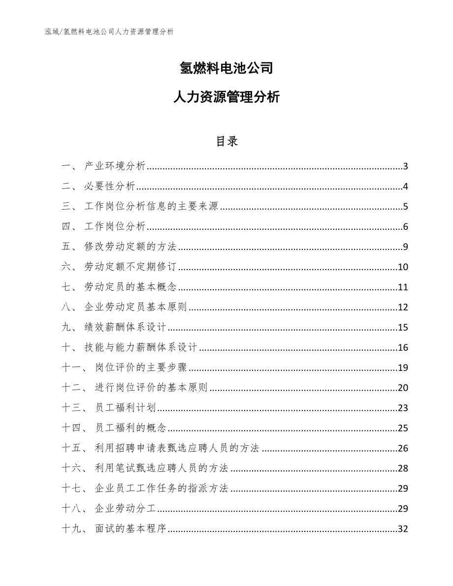 氢燃料电池公司人力资源管理分析【参考】_第1页