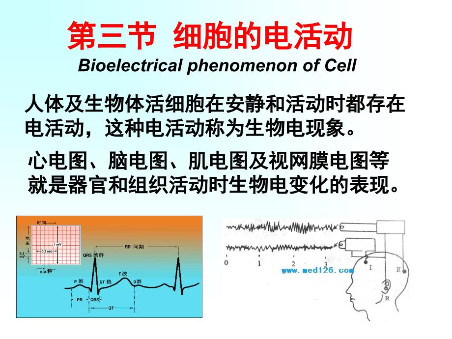 生理学：第二章 细胞的电活动_第1页