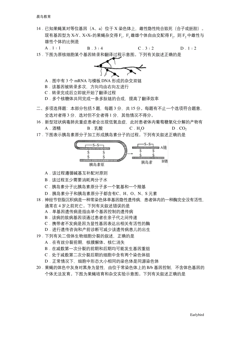 江苏省盐城市2021届高三上学期期中考试-生物-含答案.docx_第4页