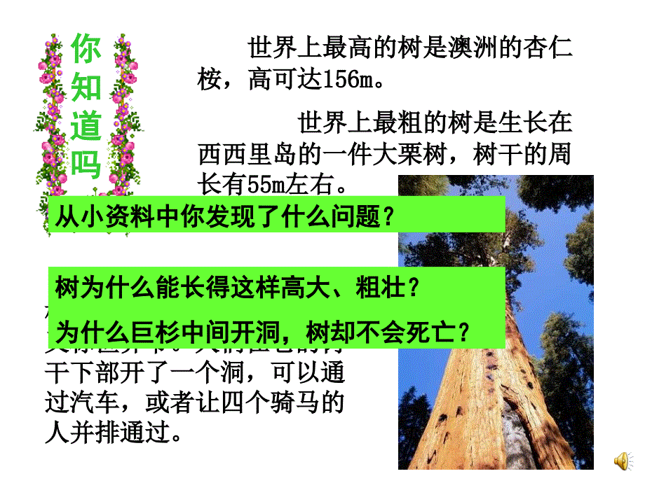 初中一年级生物上册第三单元生物圈中的绿色植物第五章绿色植物的一生第四节植物茎的输导功能第一课时课件_第2页