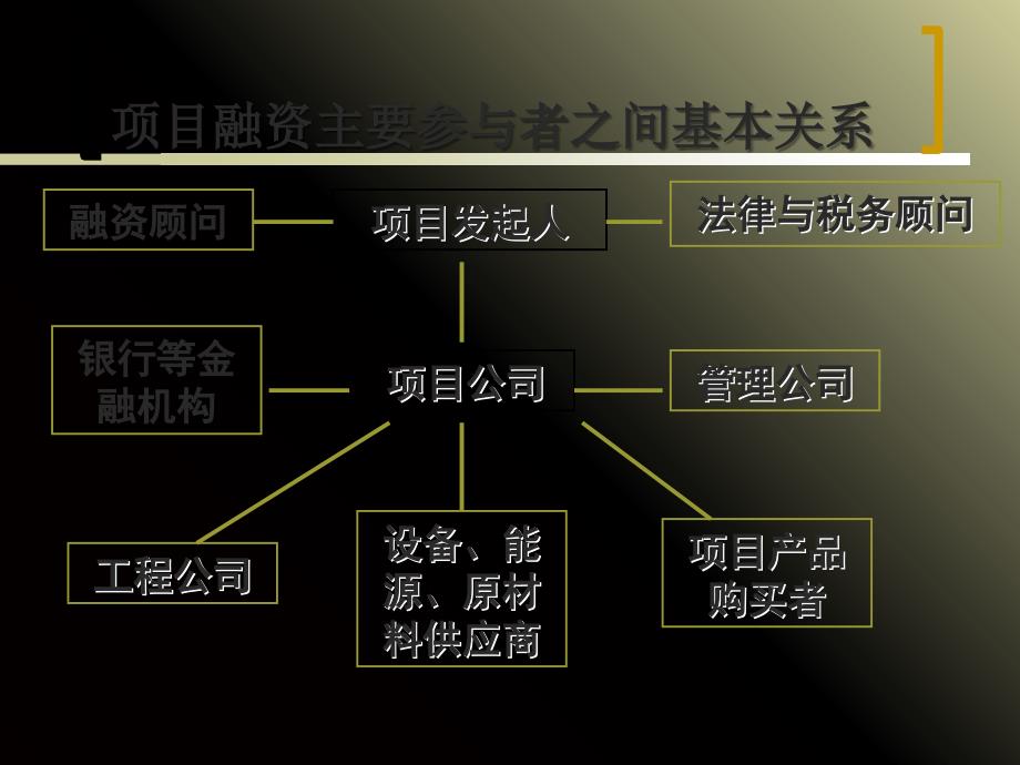 某项目融资的组织与结构概述_第3页