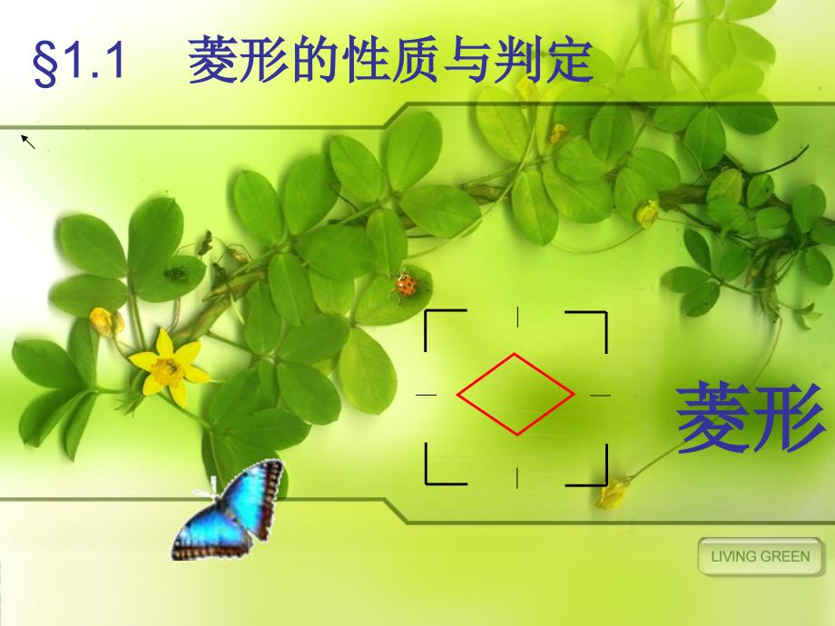 北师大版九年级数学上册菱形的性质与判定课件_第1页