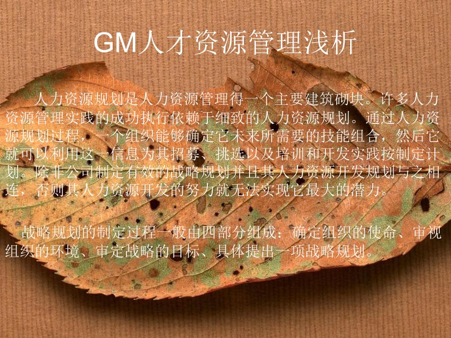 GM人才资源管理浅析_第1页