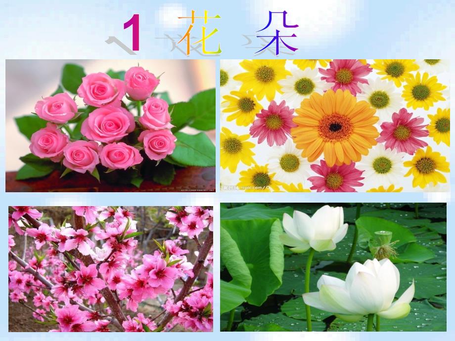 语文《花朵》PPT_第2页