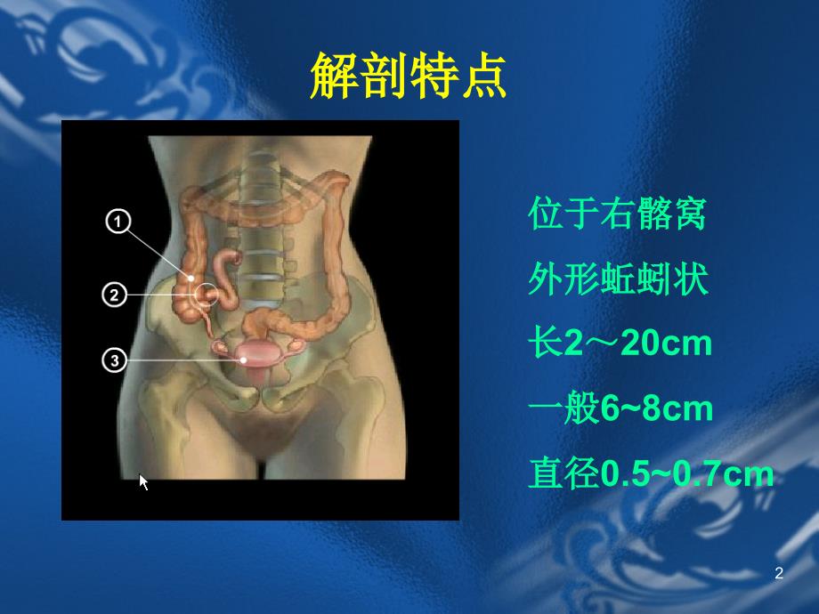 外科学--阑尾炎PPT演示课件_第2页