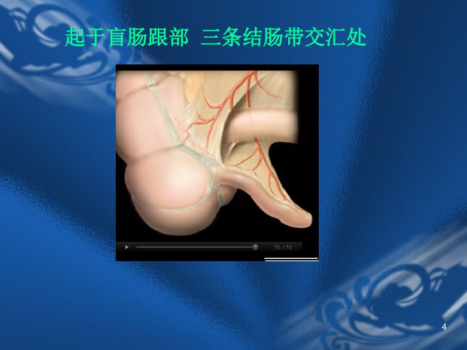 外科学--阑尾炎PPT演示课件_第4页