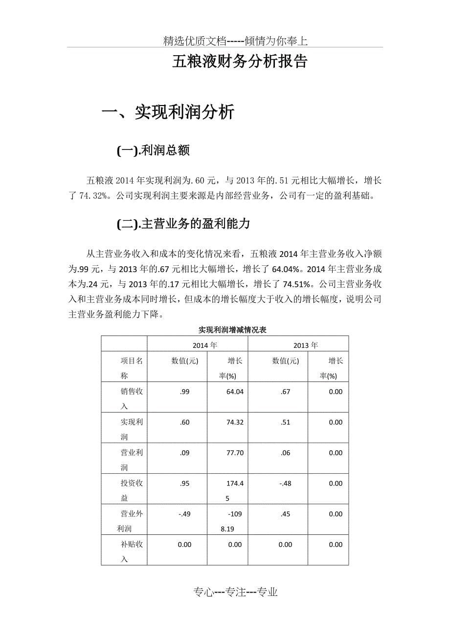 五粮液财务分析报告_第5页