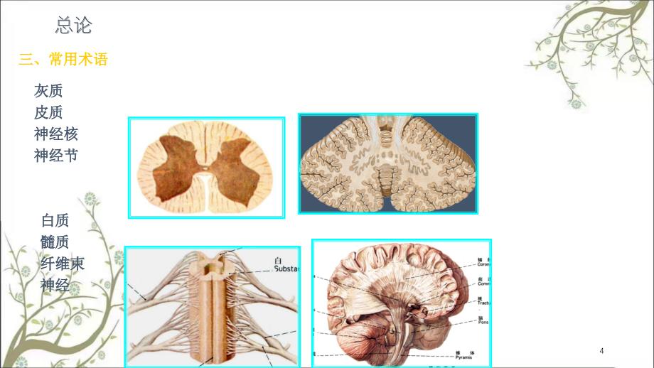 神经系统药学课件_第4页