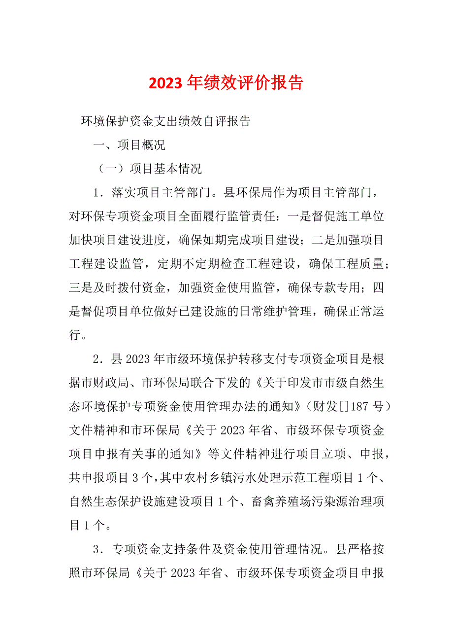 2023年绩效评价报告_第1页