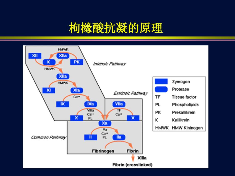 CRRT的局部枸橼酸抗凝1_第2页