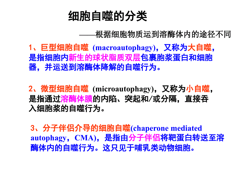 自噬研究的相关知识_第3页