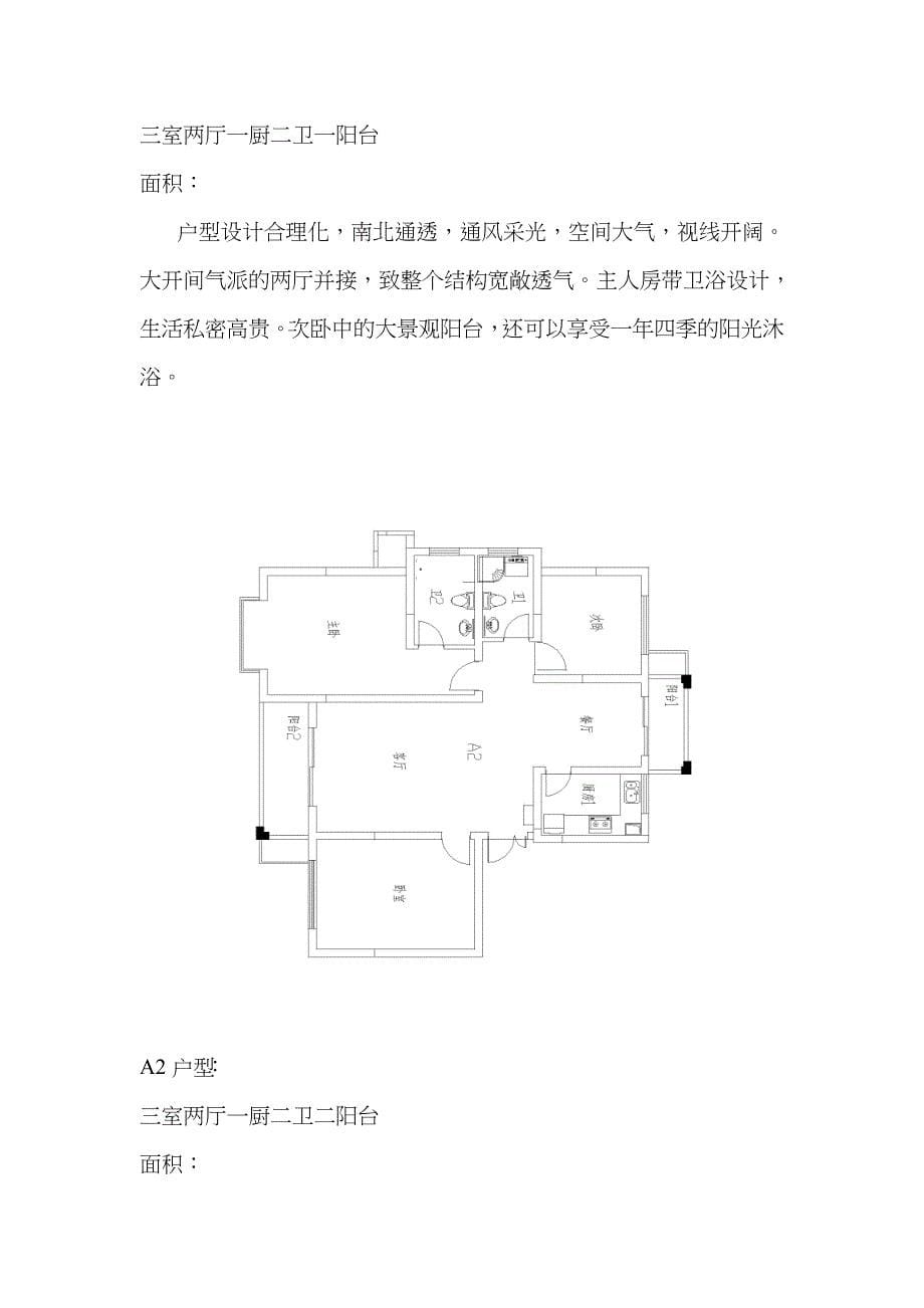 楼盘策划提案_第5页