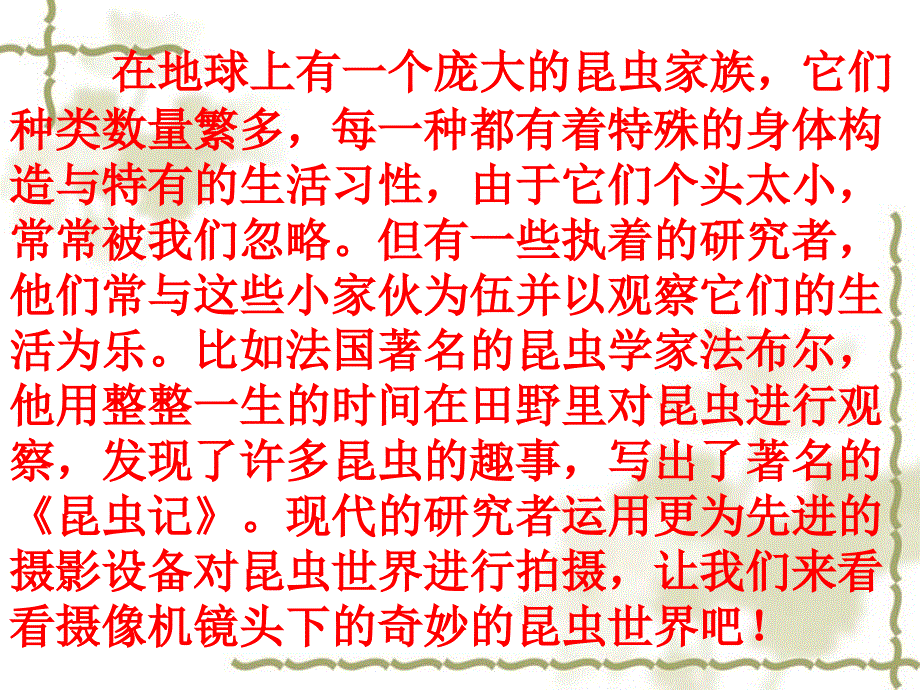 教科版小学科学六年级下册第一单元《放大镜下的昆虫世界》课件_第2页