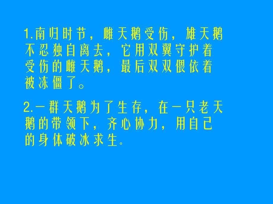 天鹅的故事ppt课_第5页