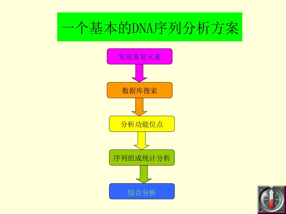 chapter4DNA序列分析_第3页