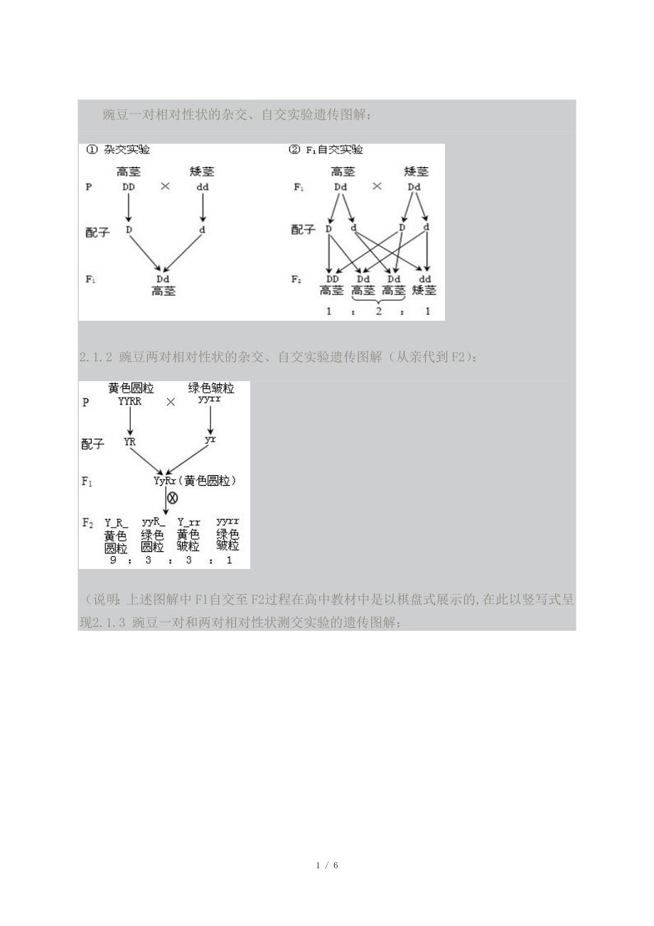 遗传图解Word_第1页