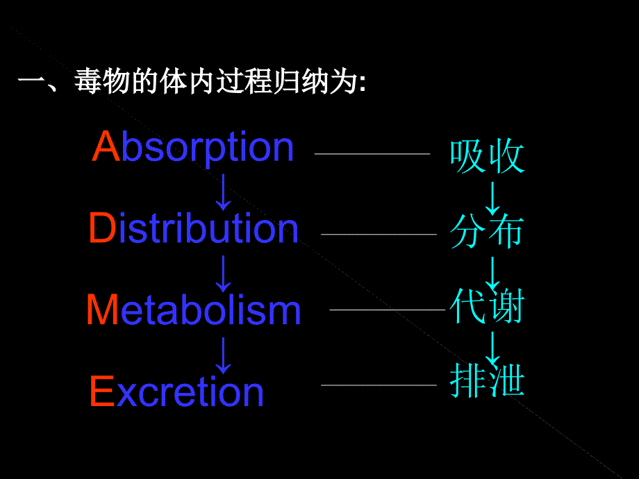 第二章毒物的体内转化_第4页