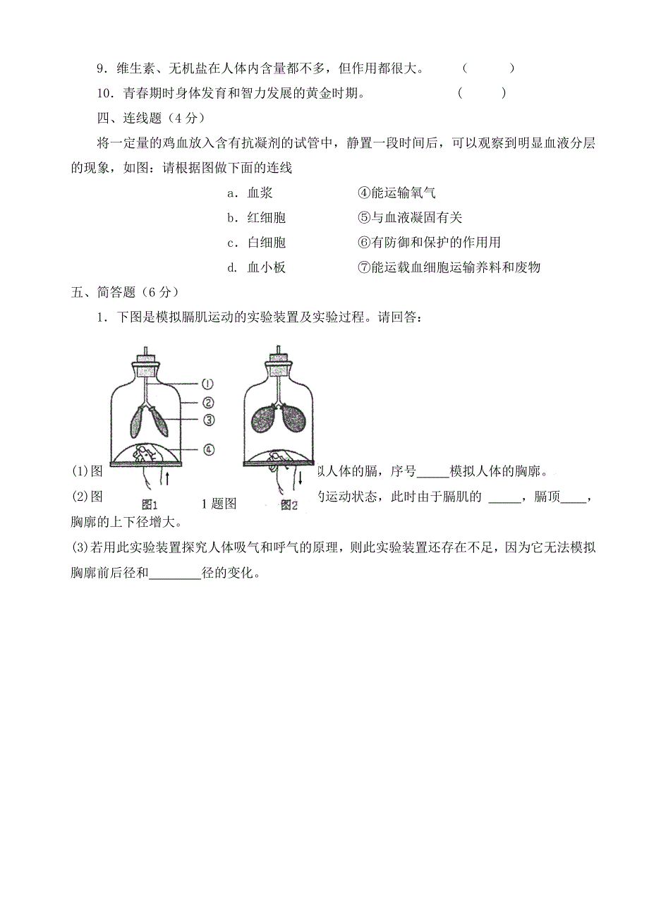 广东省深圳市南山区桃源中学七年级生物下学期期中测试试题无答案新人教版_第4页