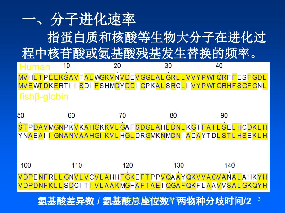 比较基因组与分子进化课件_第3页