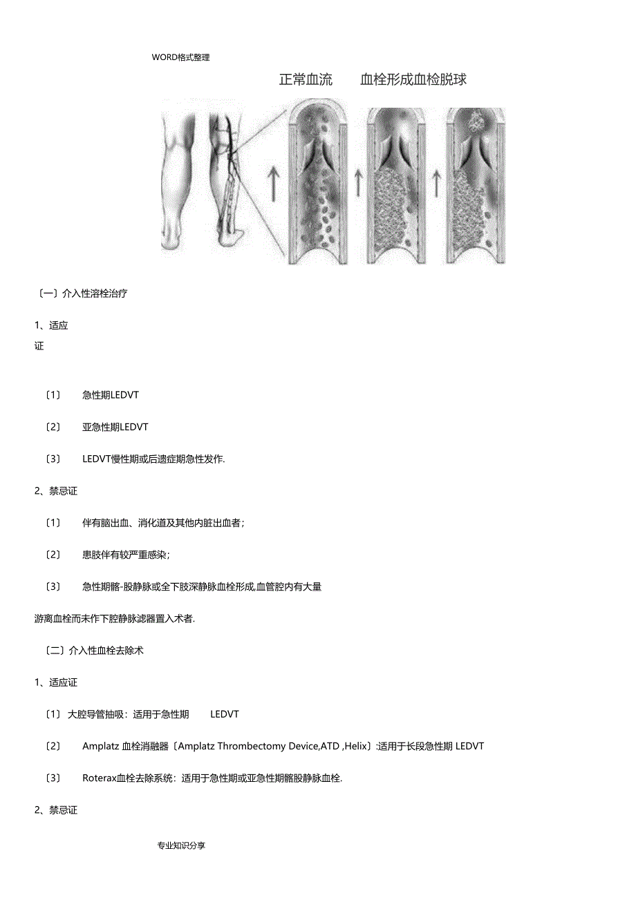 下肢深静脉血栓形成介入治疗规范设计_第3页