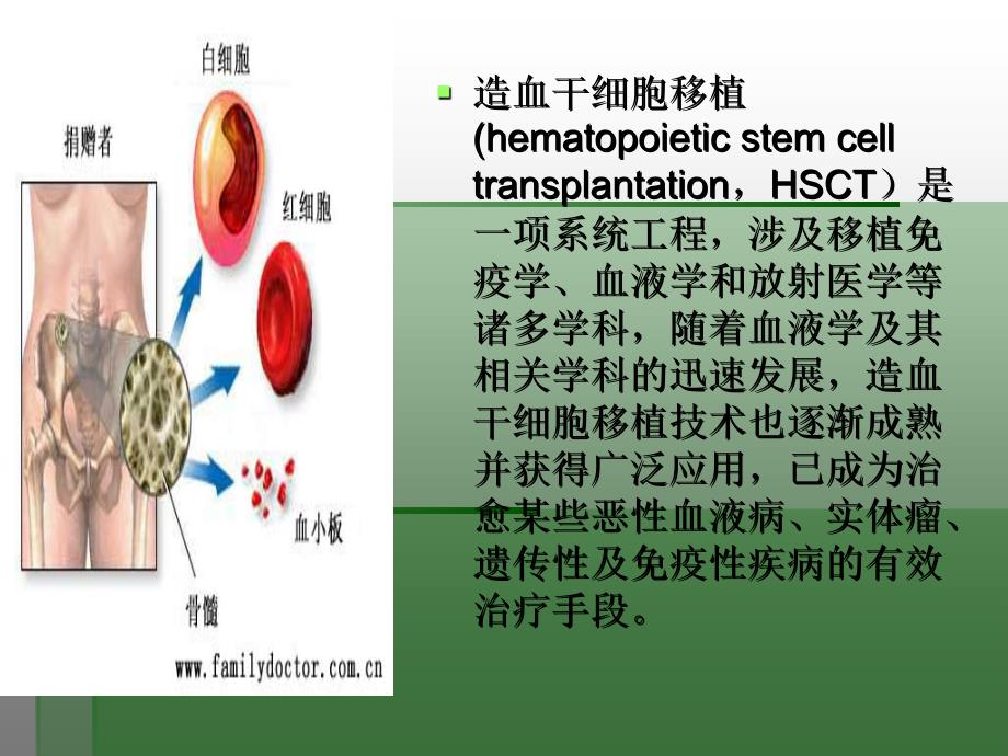 外周血干细胞移植_第2页