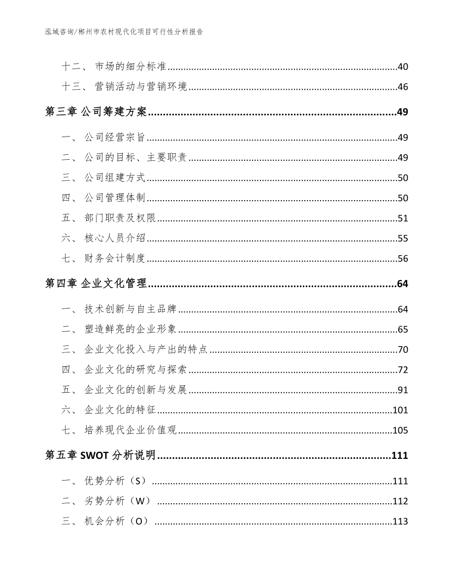 郴州市农村现代化项目可行性分析报告（参考模板）_第3页