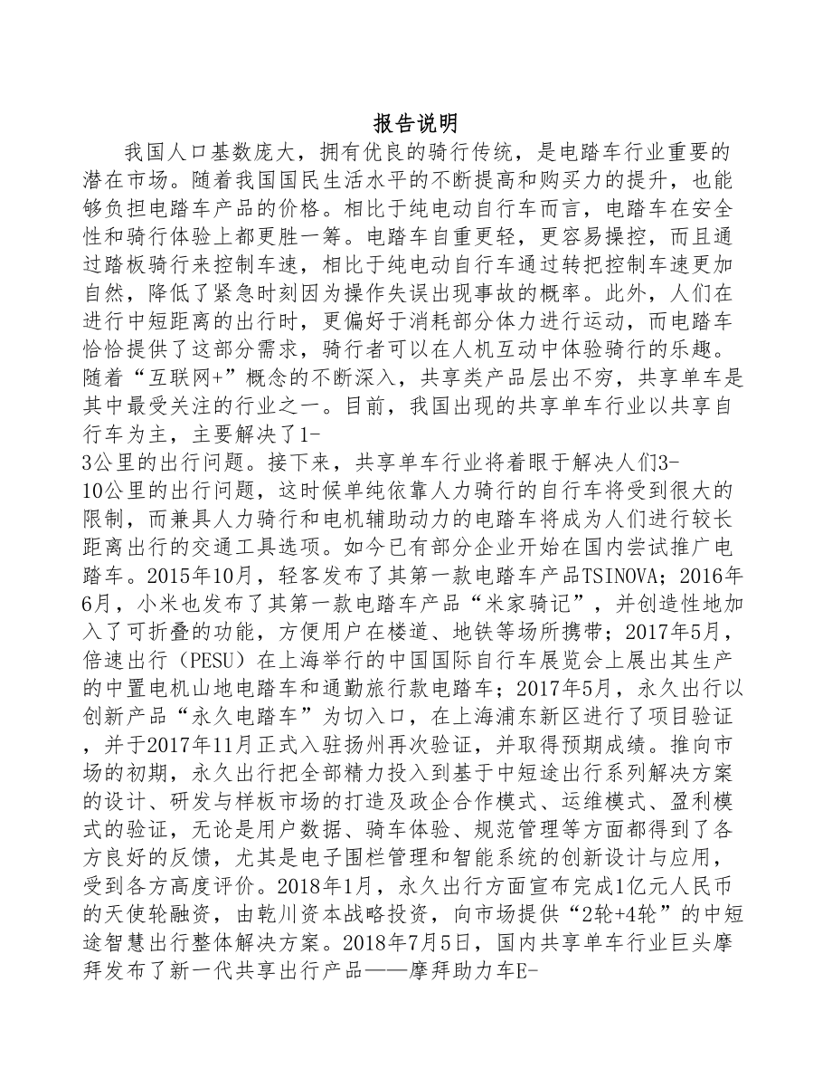 武汉电踏车电机项目可行性研究报告(DOC 62页)_第1页