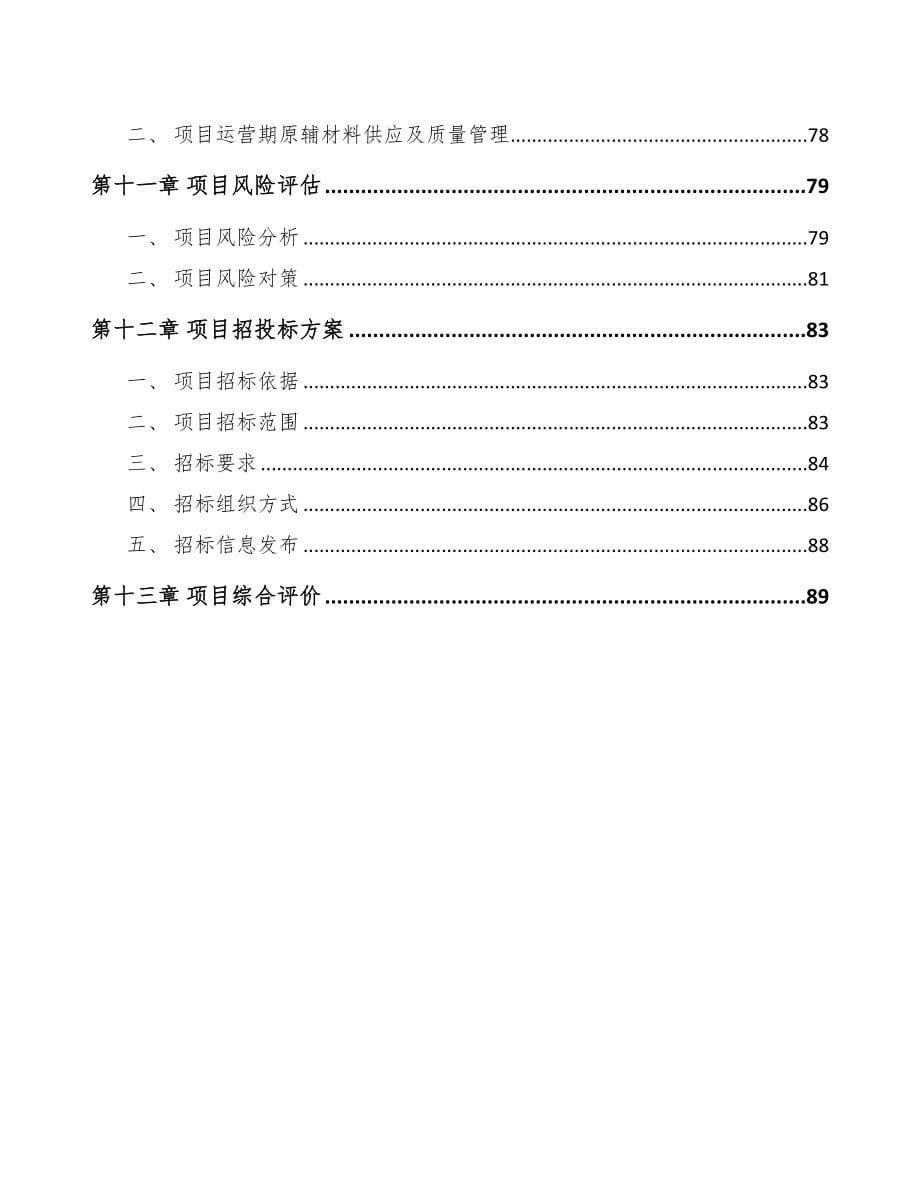 武汉电踏车电机项目可行性研究报告(DOC 62页)_第5页