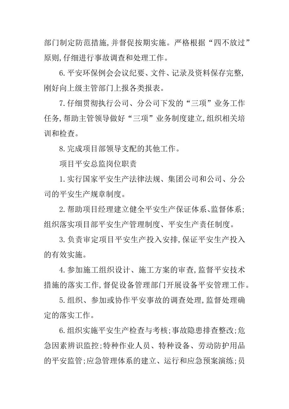 2023年安全总监安全职责篇_第3页