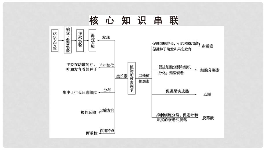 高考生物二轮复习 第1部分 板块3 调节 专题11 植物的激素调节课件_第3页