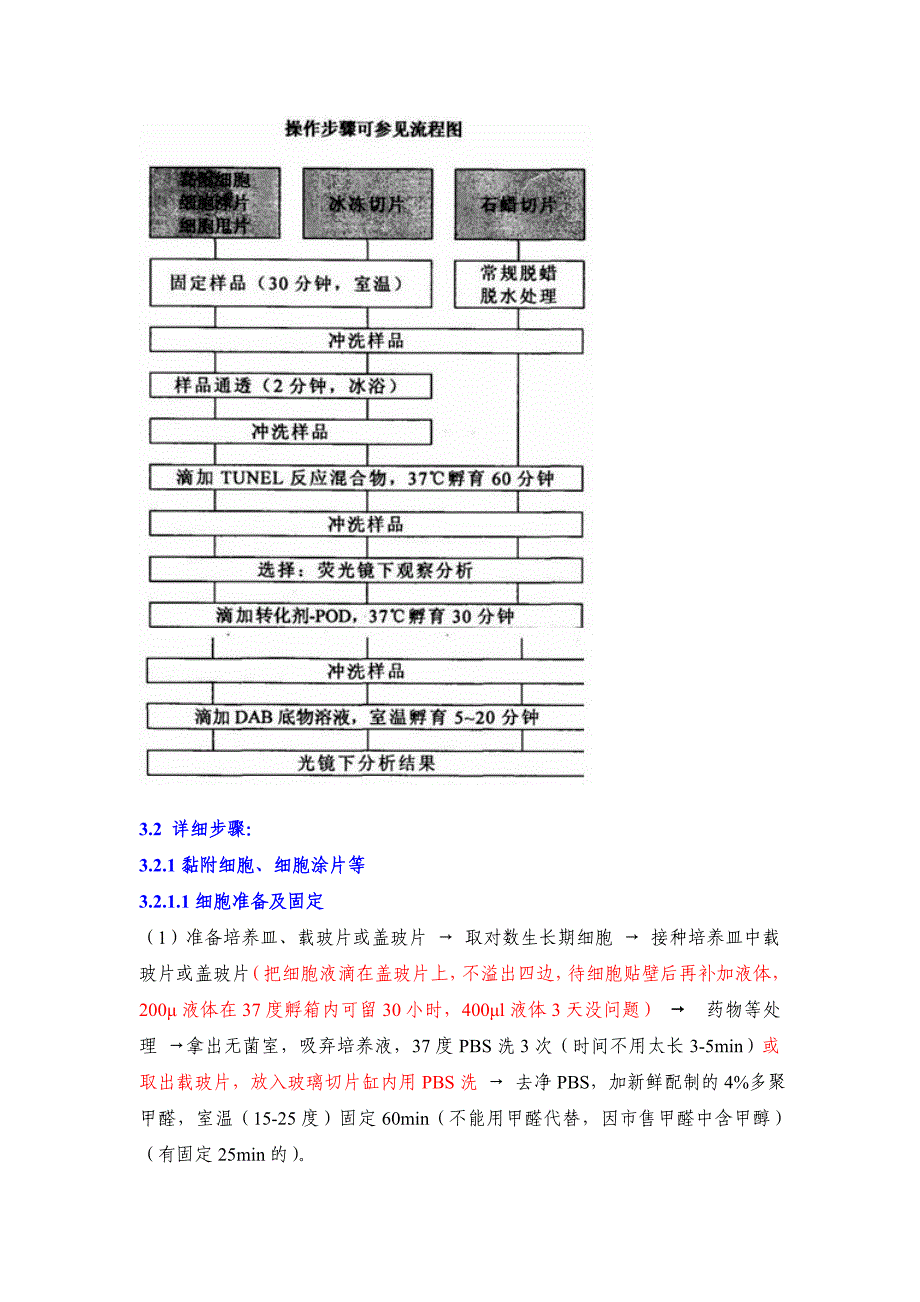 TUNE L法检测细胞凋亡1.doc_第4页