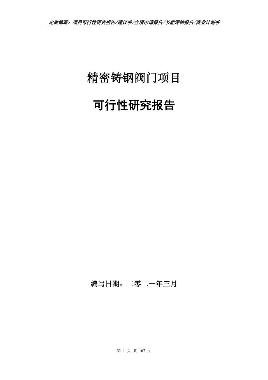 精密铸钢阀门项目可行性研究报告写作范本_第1页