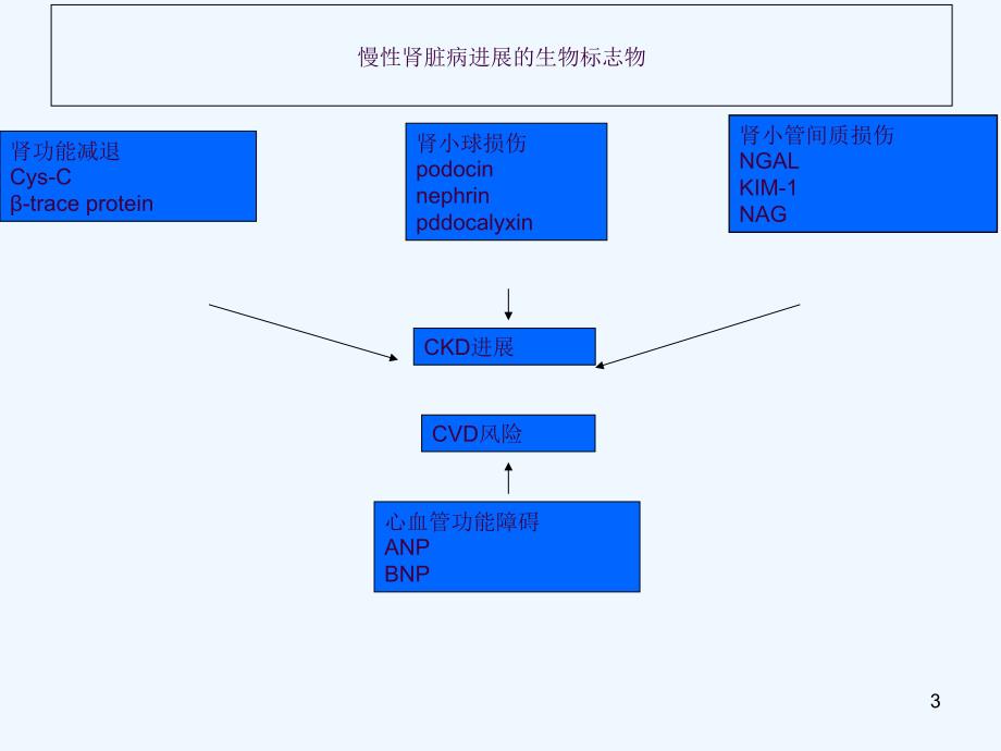 慢性肾脏病进展的生物标志物ppt课件_第3页