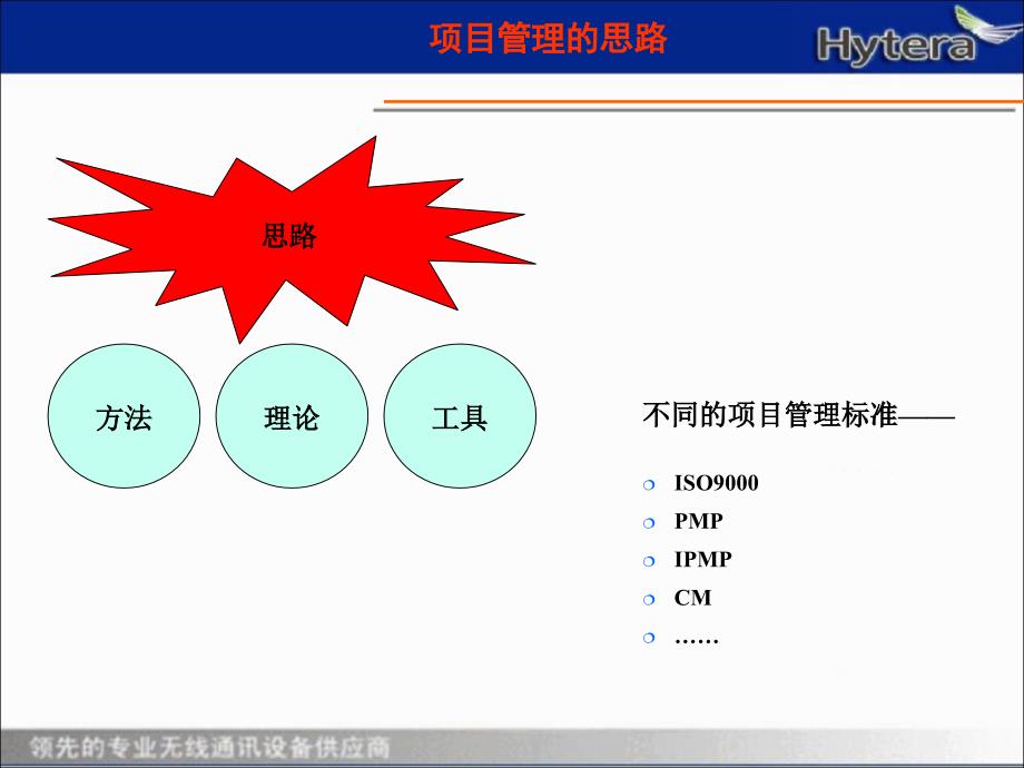 某公司项目管理概要_第4页