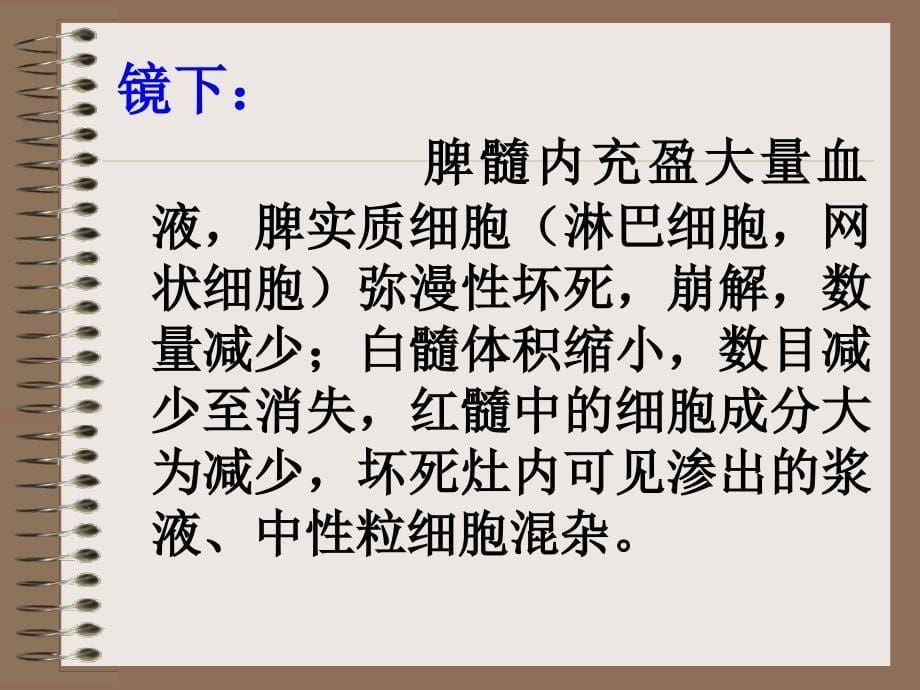 最新：造血系统及淋巴系统病理文档资料_第5页