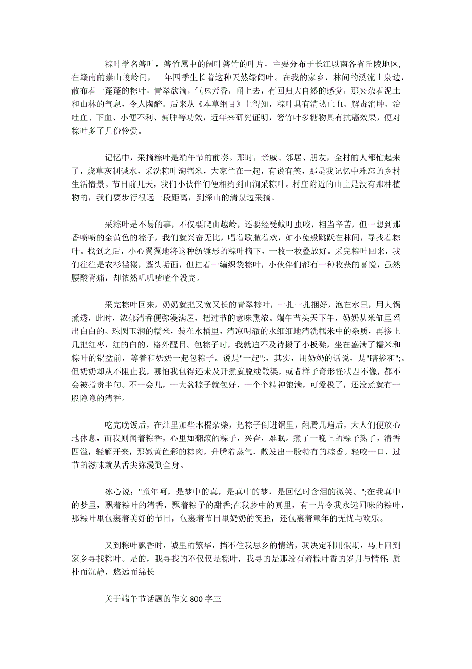 关于端午节话题的作文800字五篇.docx_第2页