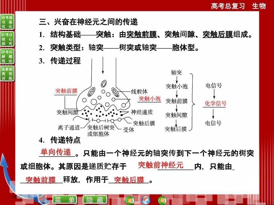 必修三第2章第1讲通过神经系统的调节_第5页