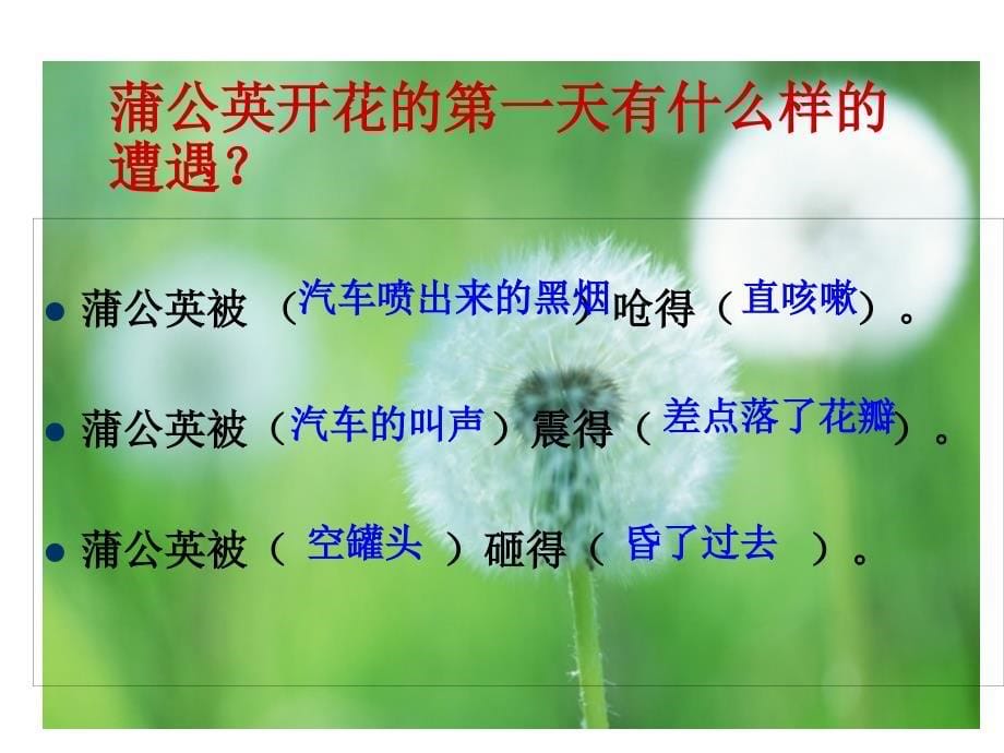 蒲公英的梦课件_第5页