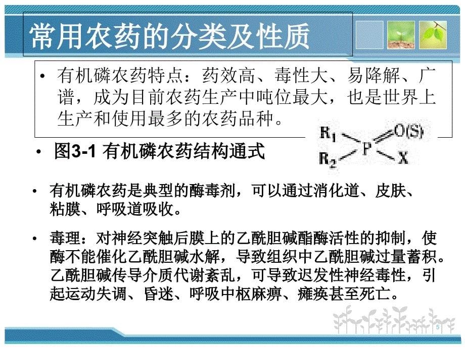 食品农药残留快速检测PPtPPT56页_第5页