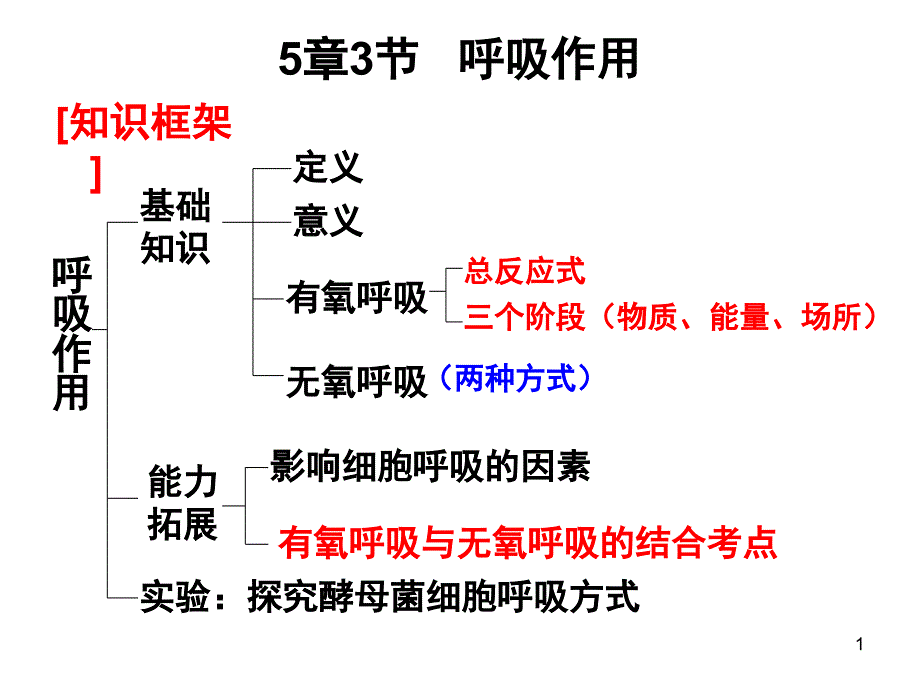 一轮复习呼吸作用课堂PPT_第1页