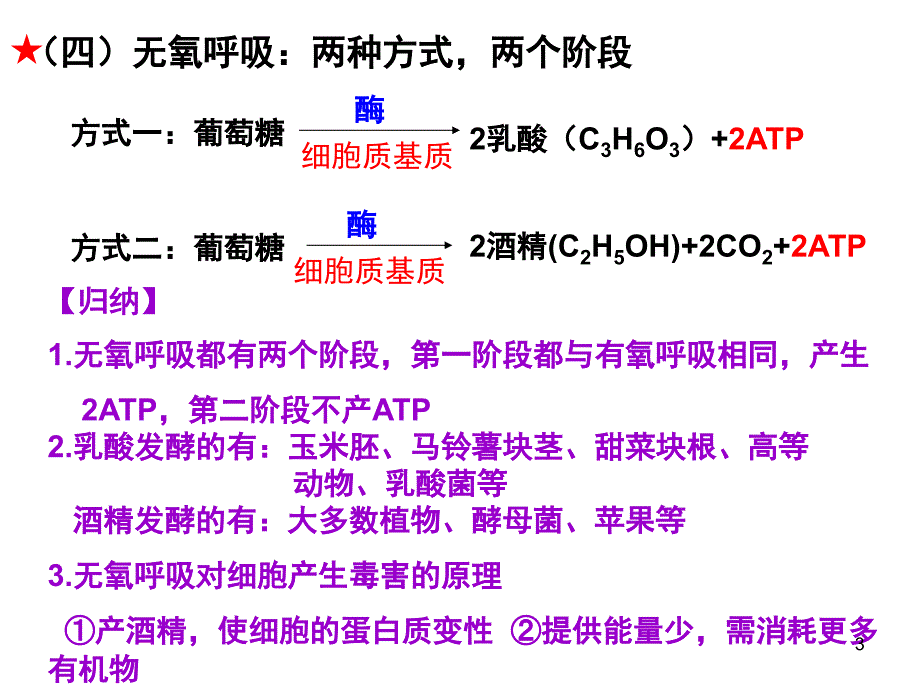 一轮复习呼吸作用课堂PPT_第3页