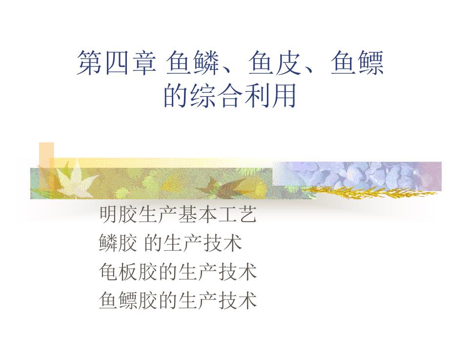 教学课件第四章鱼鳞鱼皮鱼鳔的综合利用_第1页