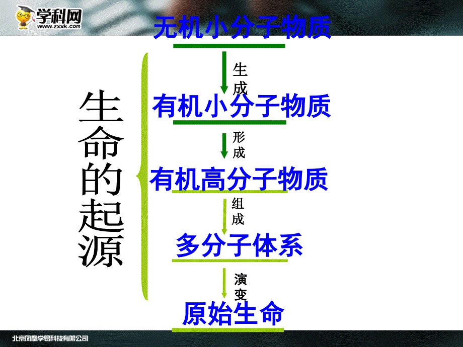 2013人教版生物八年级下册第七单元第三章第二节生物进化的历程_第3页