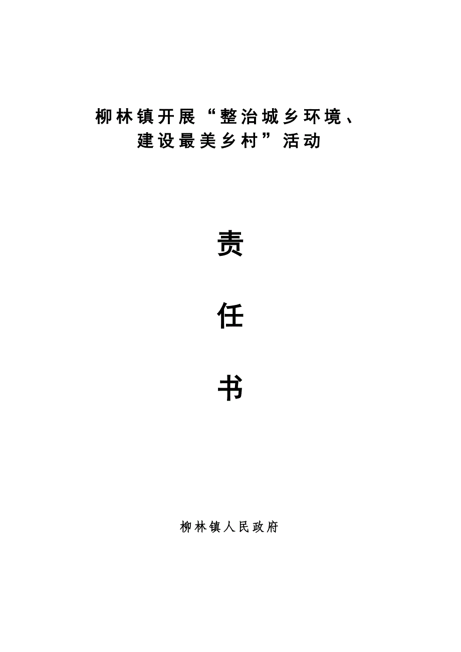 环境整治责任书_第4页