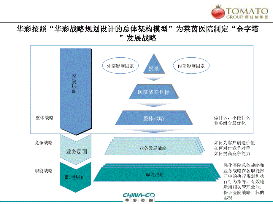 上海莱茵医院战略规划_第2页