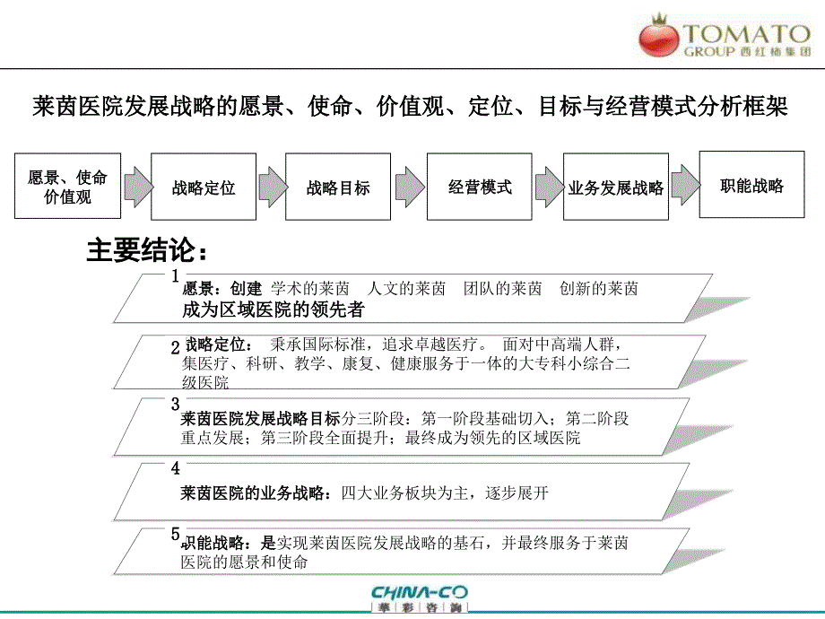 上海莱茵医院战略规划_第4页